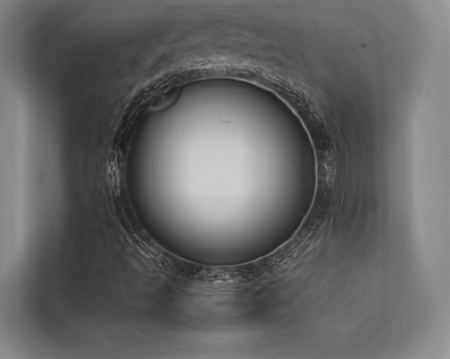 X0000113781493200909231305