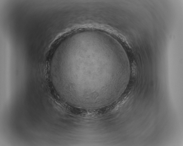 X0000113781494200909231305