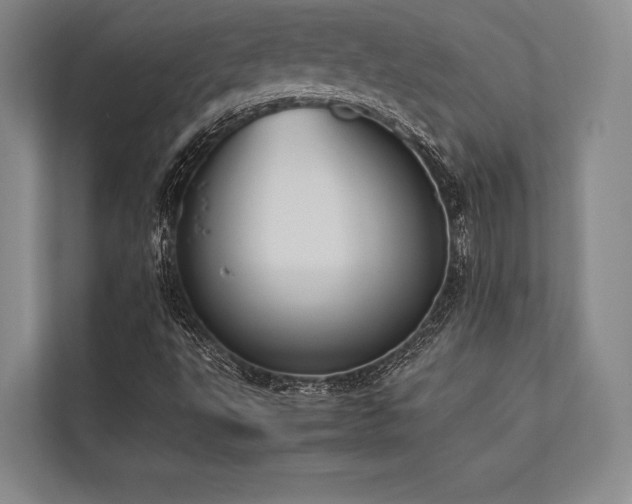 X0000113781495200909231305