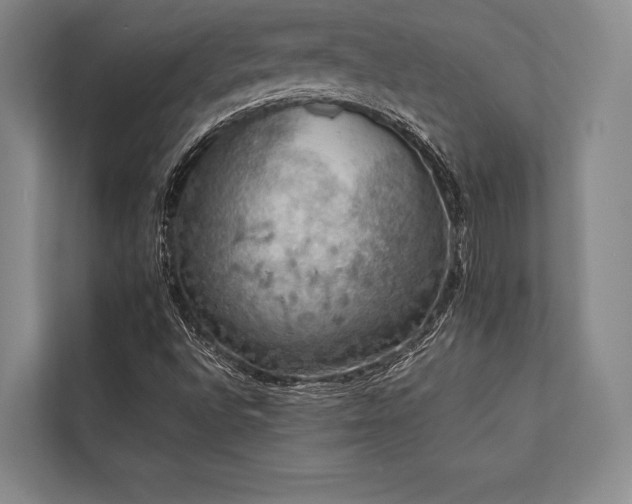 X0000113781496200909231305