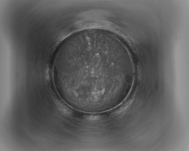 X0000113781497200909231305