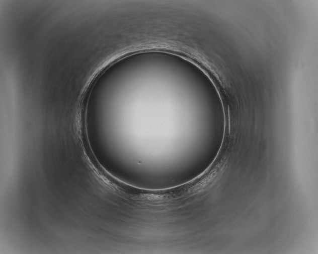 X0000113781500200909231305