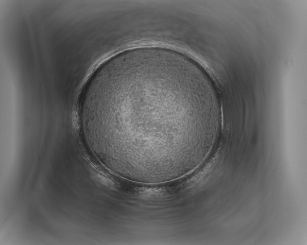X0000113781501200909231305