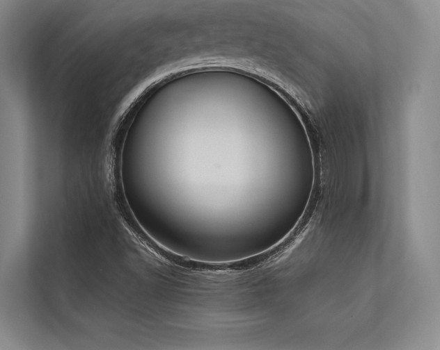 X0000113781502200909231305