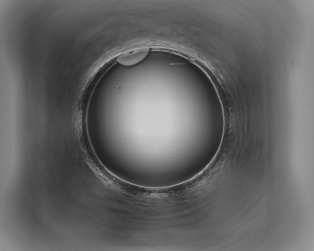 X0000113781503200909231305