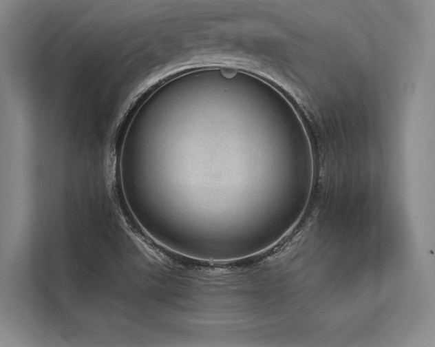 X0000113781507200909231305