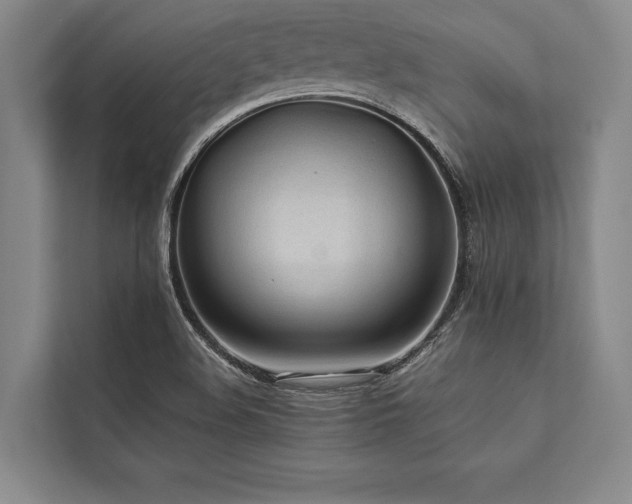 X0000113781508200909231305