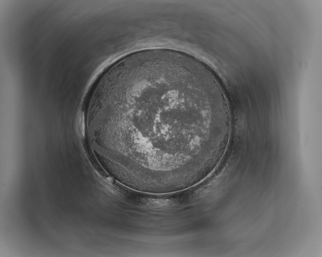 X0000113781509200909231305
