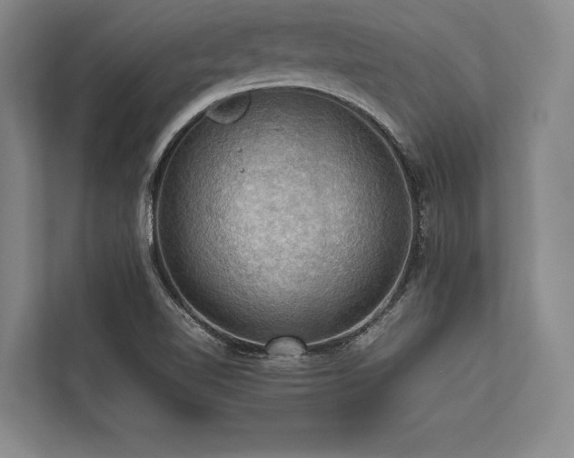 X0000113781510200909231305