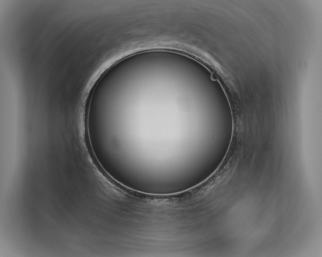 X0000113781512200909231305