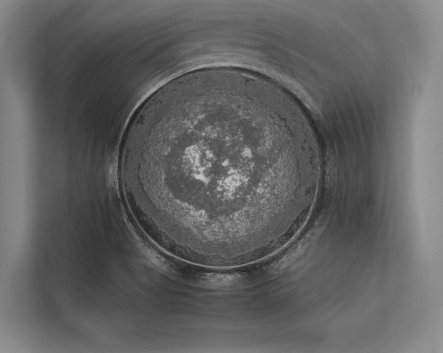 X0000113781513200909231305