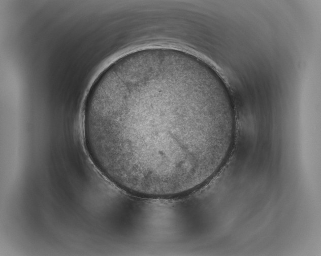 X0000113781514200909231305