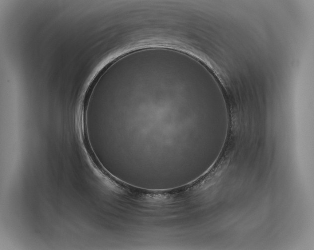 X0000113781515200909231305