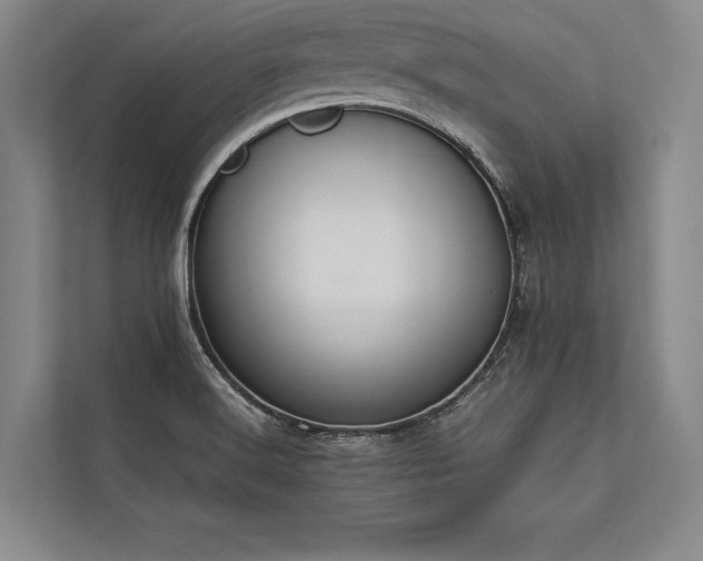 X0000113781516200909231305