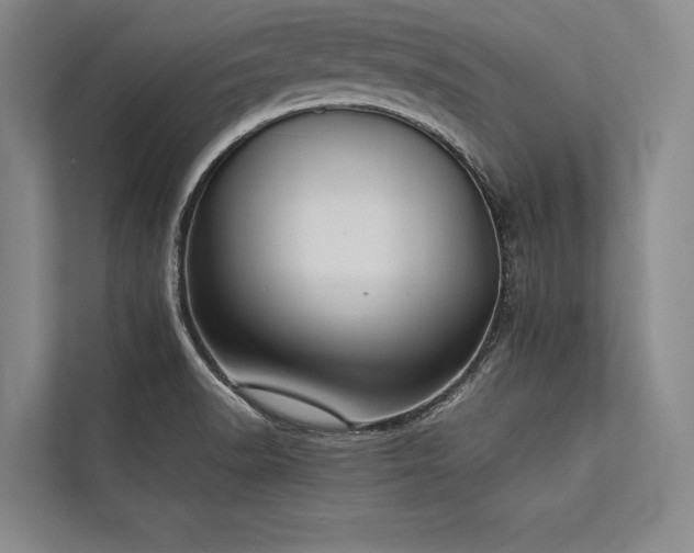 X0000113781518200909231305