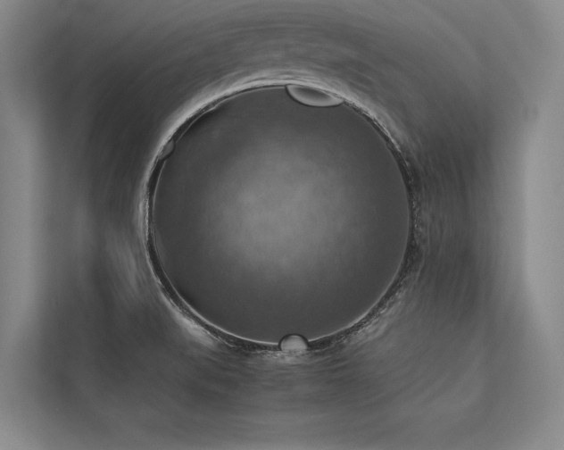 X0000113781519200909231305