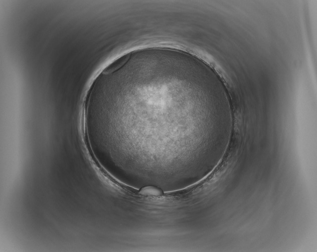 X0000113781520200909231305