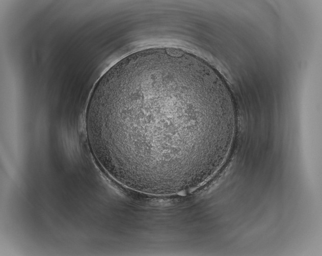 X0000113781521200909231305