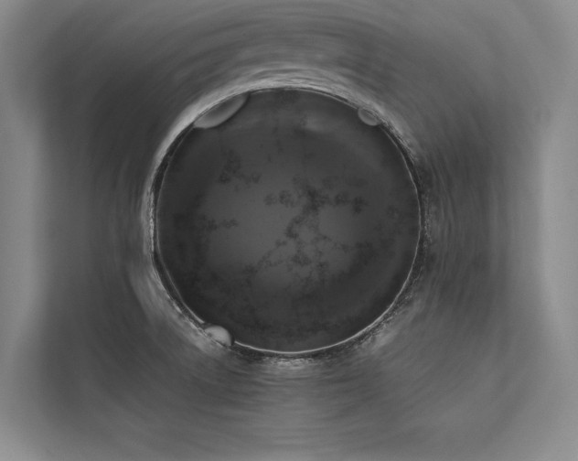 X0000113781522200909231305