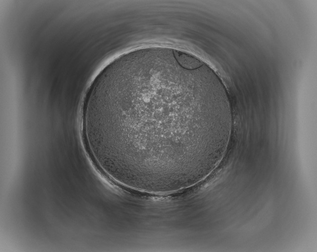 X0000113781523200909231305