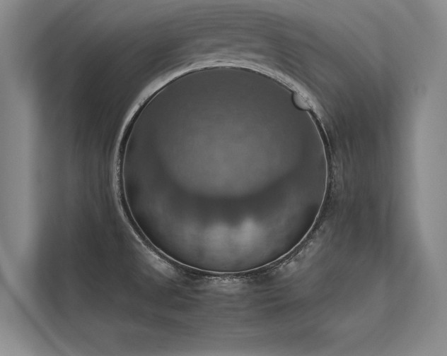 X0000113781525200909231305