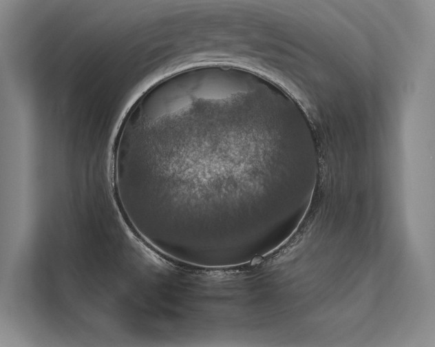 X0000113781527200909231305