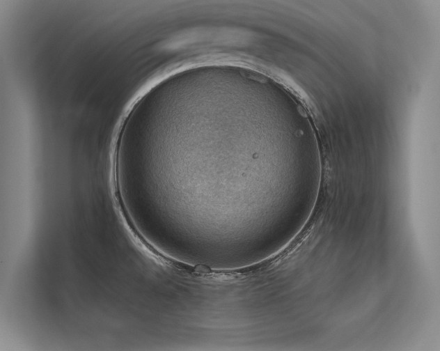 X0000113781528200909231305
