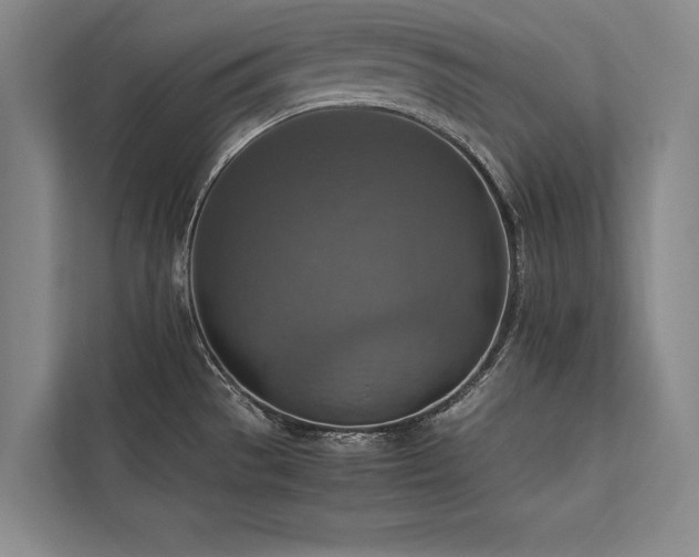 X0000113781529200909231305