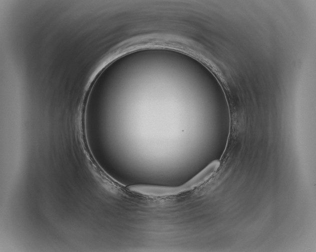 X0000113781530200909231305