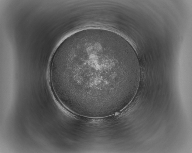 X0000113781531200909231305