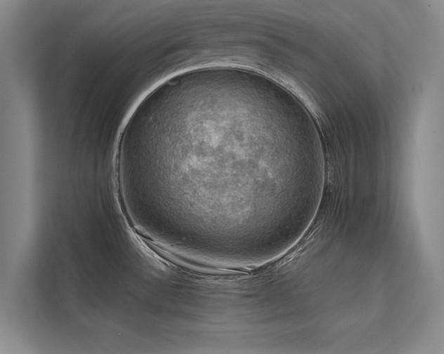 X0000113781532200909231305