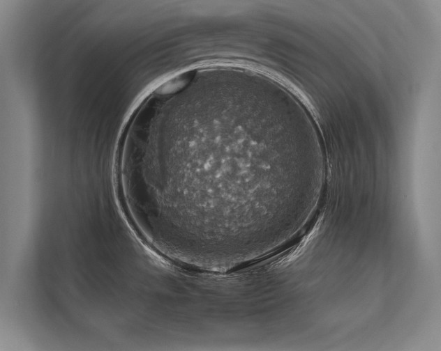 X0000113781533200909231305