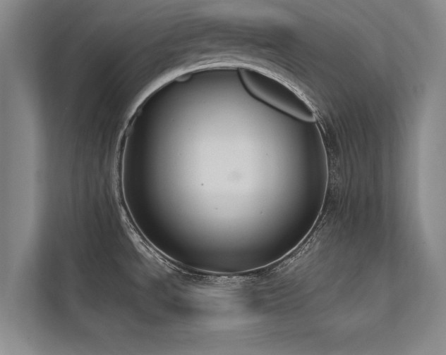 X0000113781534200909231305