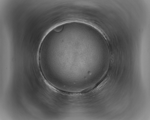 X0000113781535200909231305