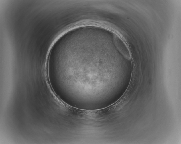 X0000113781536200909231305