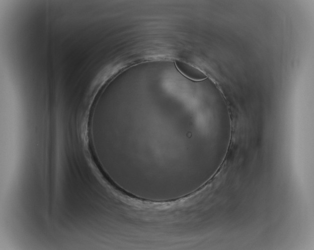 X0000113780002200909301159