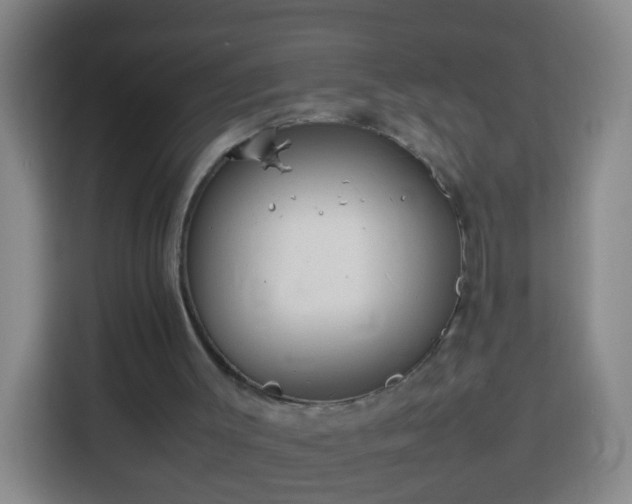 X0000113780003200909301159