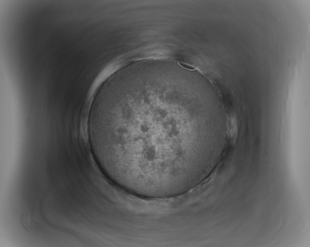 X0000113780004200909301159