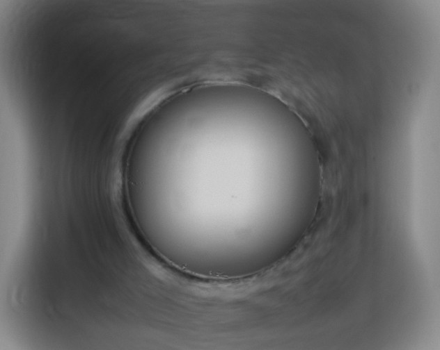 X0000113780005200909301159