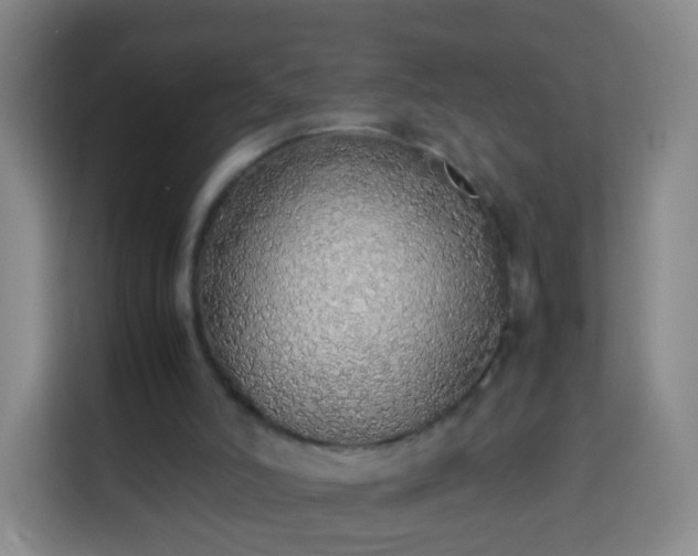 X0000113780006200909301159