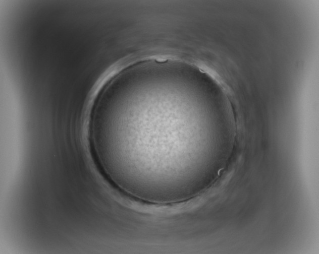 X0000113780007200909301159