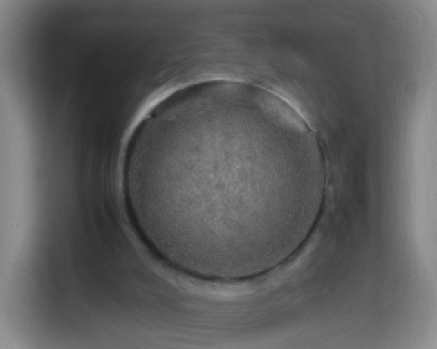 X0000113780008200909301159