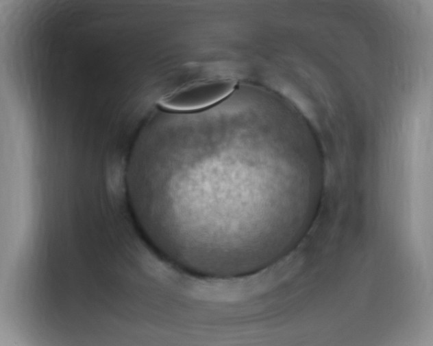 X0000113780009200909301159