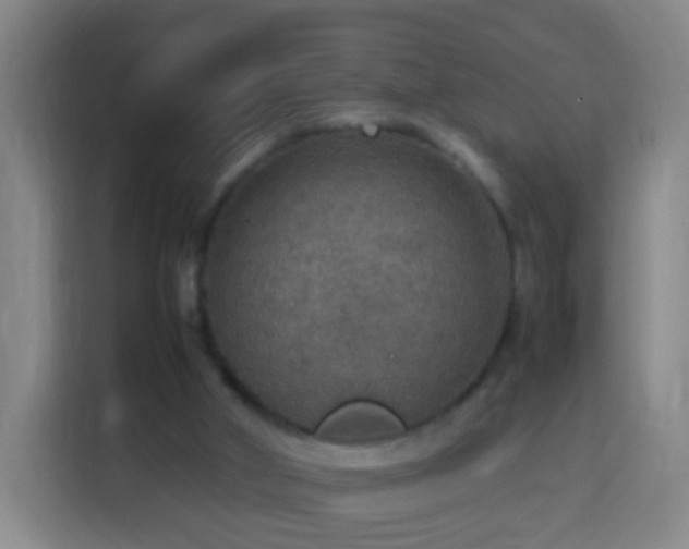 X0000113780010200909301159