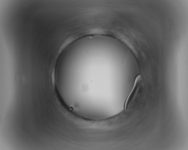 X0000113780011200909301159