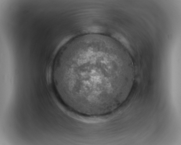 X0000113780012200909301159