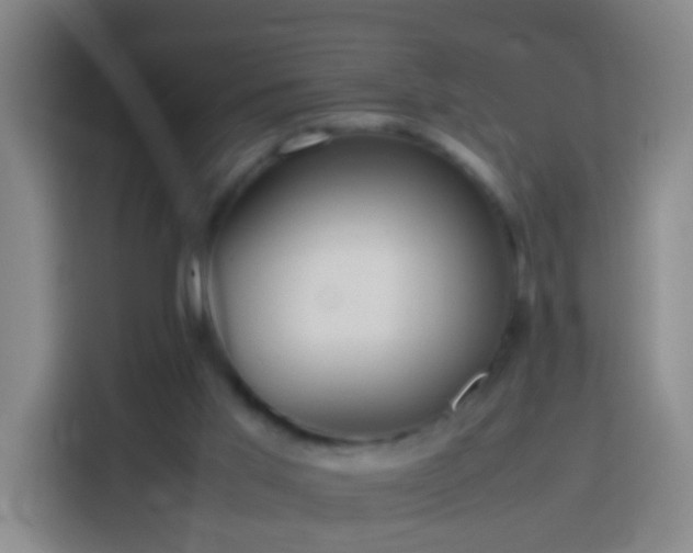 X0000113780013200909301159