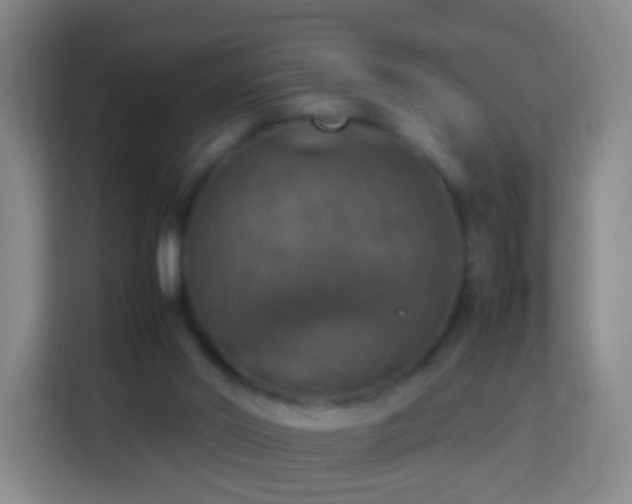 X0000113780014200909301159