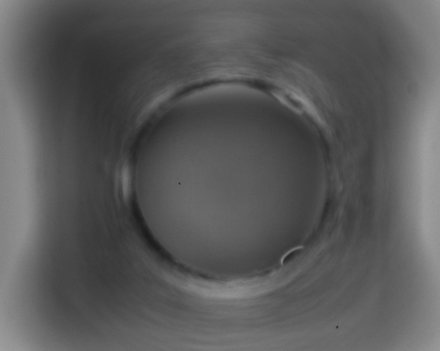 X0000113780019200909301158