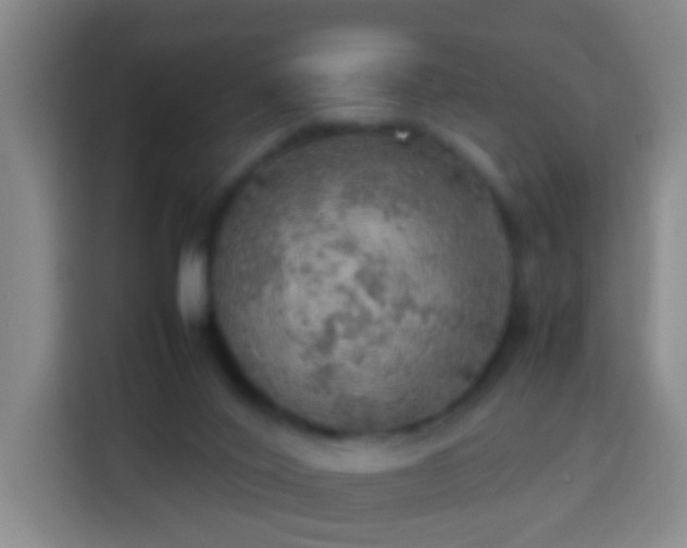 X0000113780020200909301158